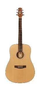 Ashton D20EQNTM Dreadnought Acou/Elec Matt Nat — view 2