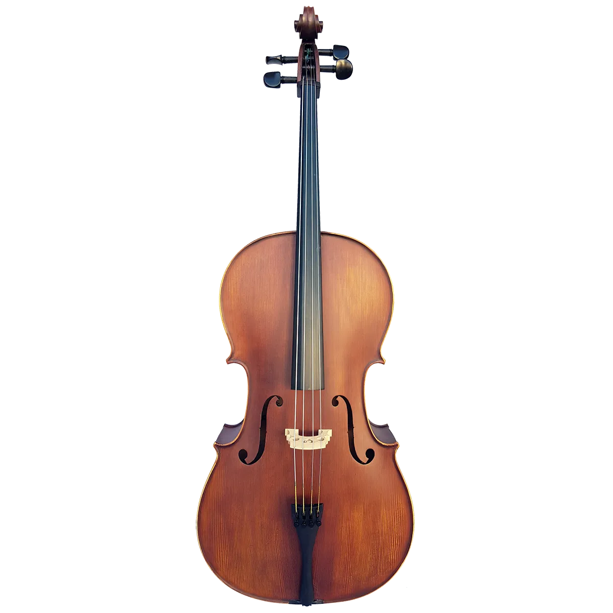 Vivo Elite Cello 4/4 Outfit with Solid Spruce Top, Flamed Maple Back, Ebony Fingerboard, and Lightweight Poly-Foam Case