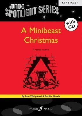 Minibeast Christmas BK/CD for Key Stage 1 Education