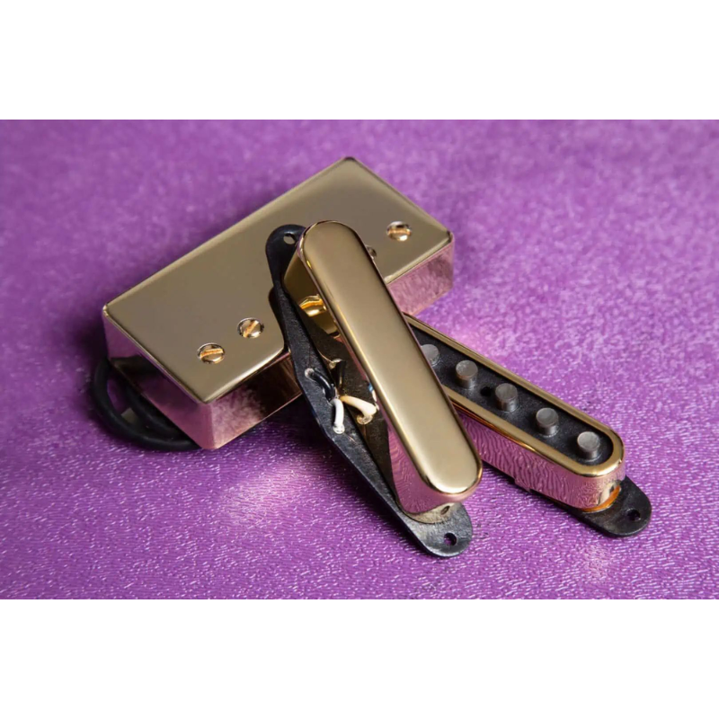 Lari Basilio TB Gold Cover SD Set — view 2
