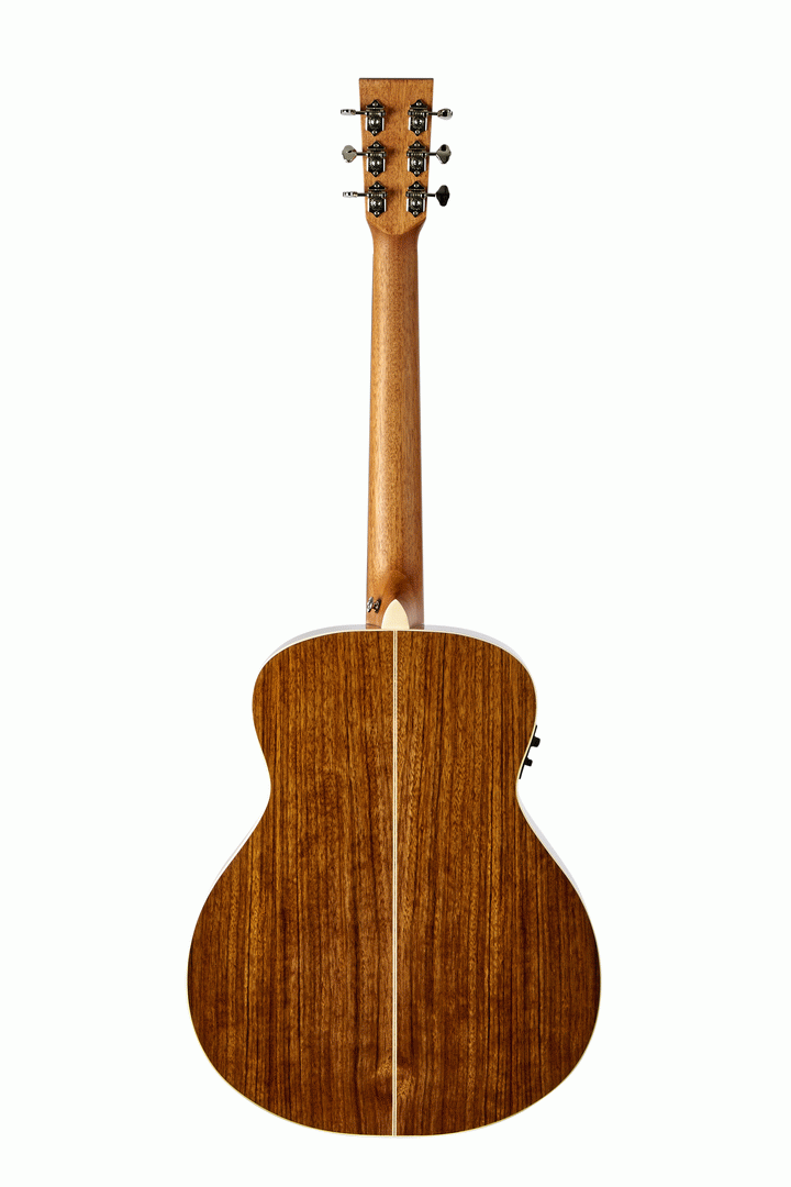 Tasman TA100M-E Mini Jumbo Acoustic Electric With Hard Case — view 3