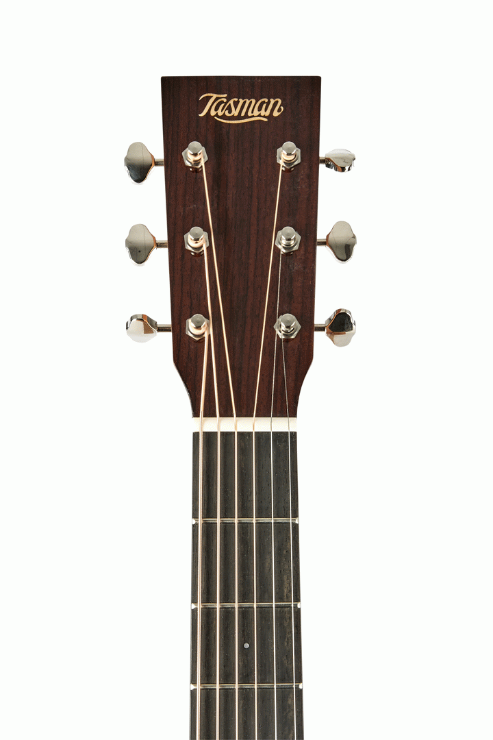 Tasman TA300O-E Om Acoustic Electric With Premium Hard Case — view 2