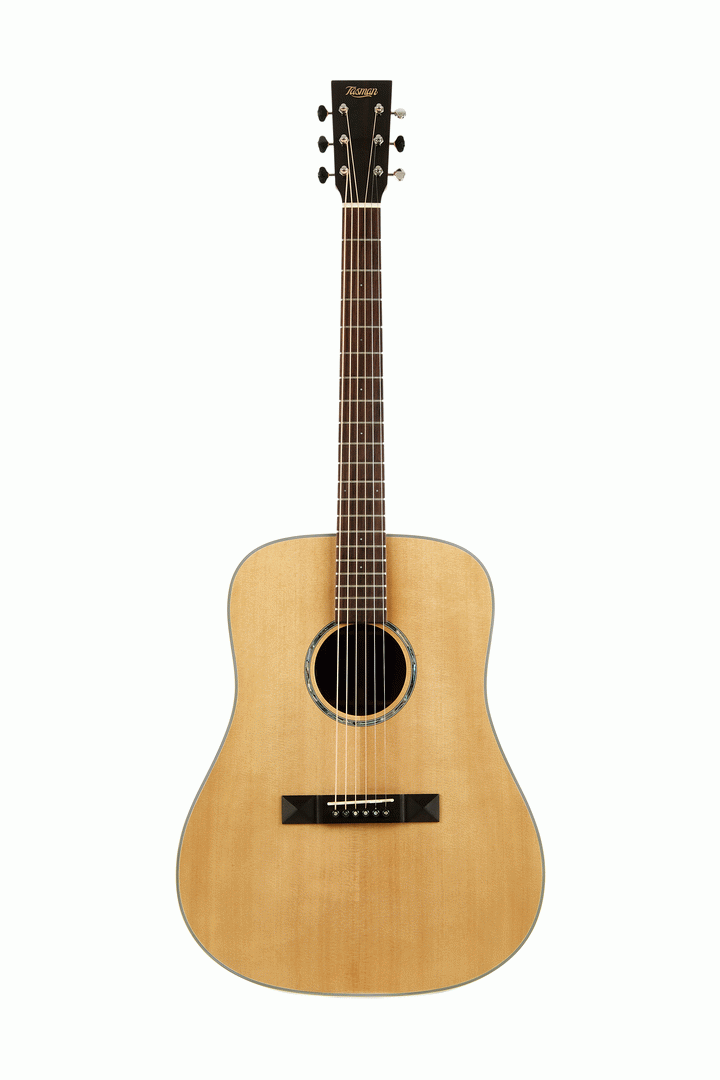 Tasman TA200-E Dreadnought Acoustic Electric With Premium Hard Case