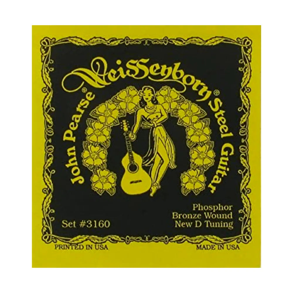 John Pearse 3160 Phosphor Bronze Weissenborn Guitar Strings D 15-60