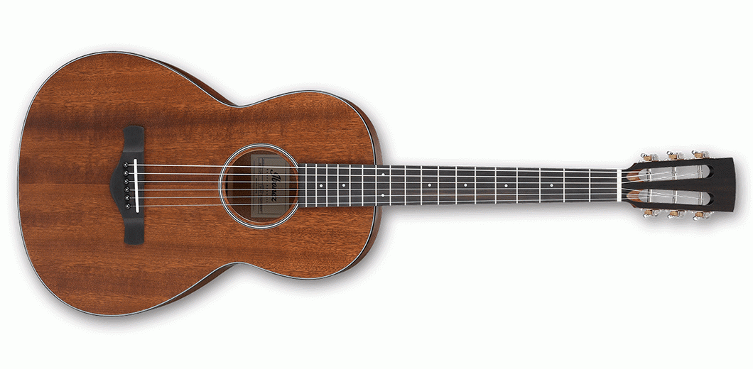 Ibanez AVN9 Artwood Vintage Grand Concert Thermo Aged Acoustic Guitar (Open Pore Natural)