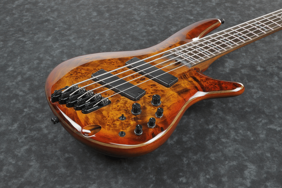 Ibanez SRMS805 BTT Electric 5-String Bass (Brown Topaz Burst) — view 4