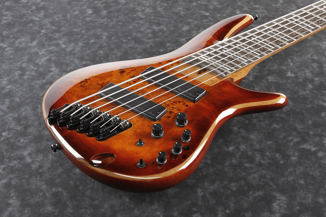 Ibanez SRMS806 BTT Electric 6-String Bass (Brown Topaz Burst) — view 4