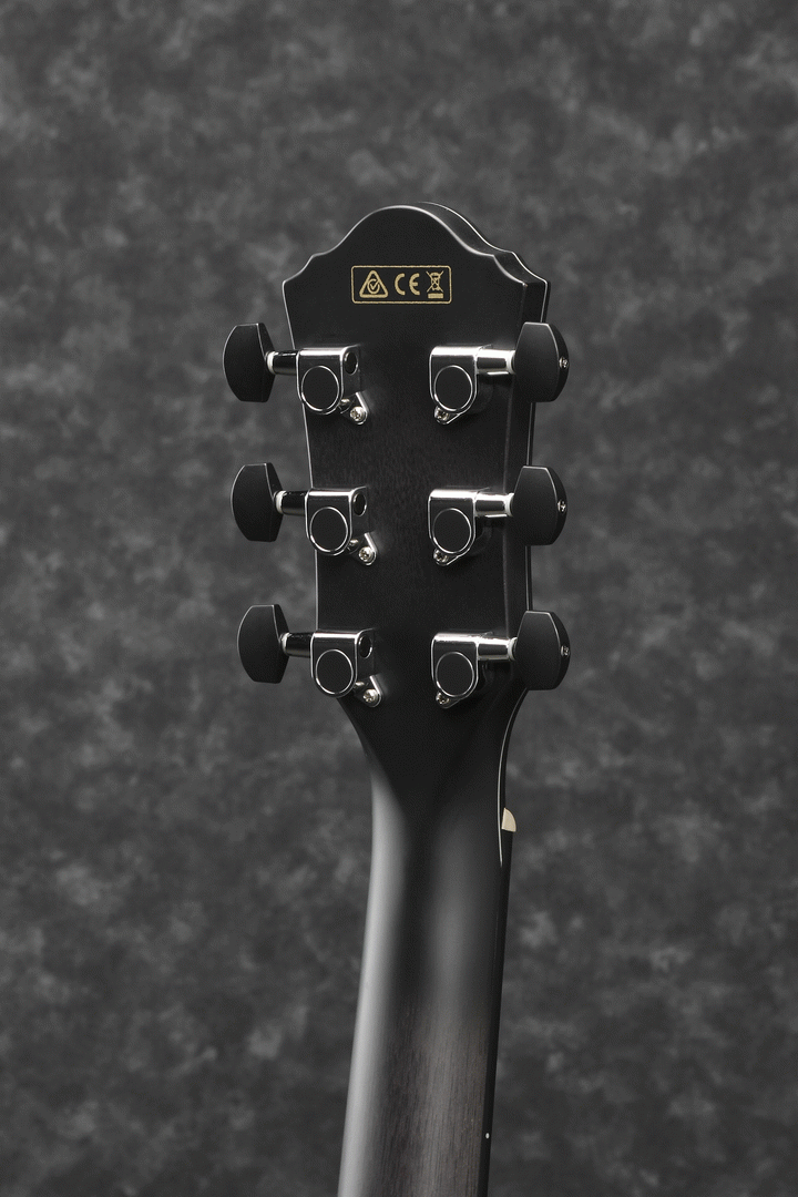 Ibanez AEWC400 TKS Acoustic-Electric Guitar (Transparent Black Sunburst) — view 4