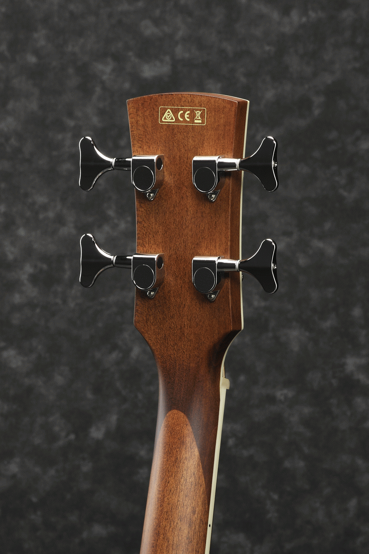 Ibanez PNB14E OPN Electric Bass Guitar (Open Pore Natural) — view 4