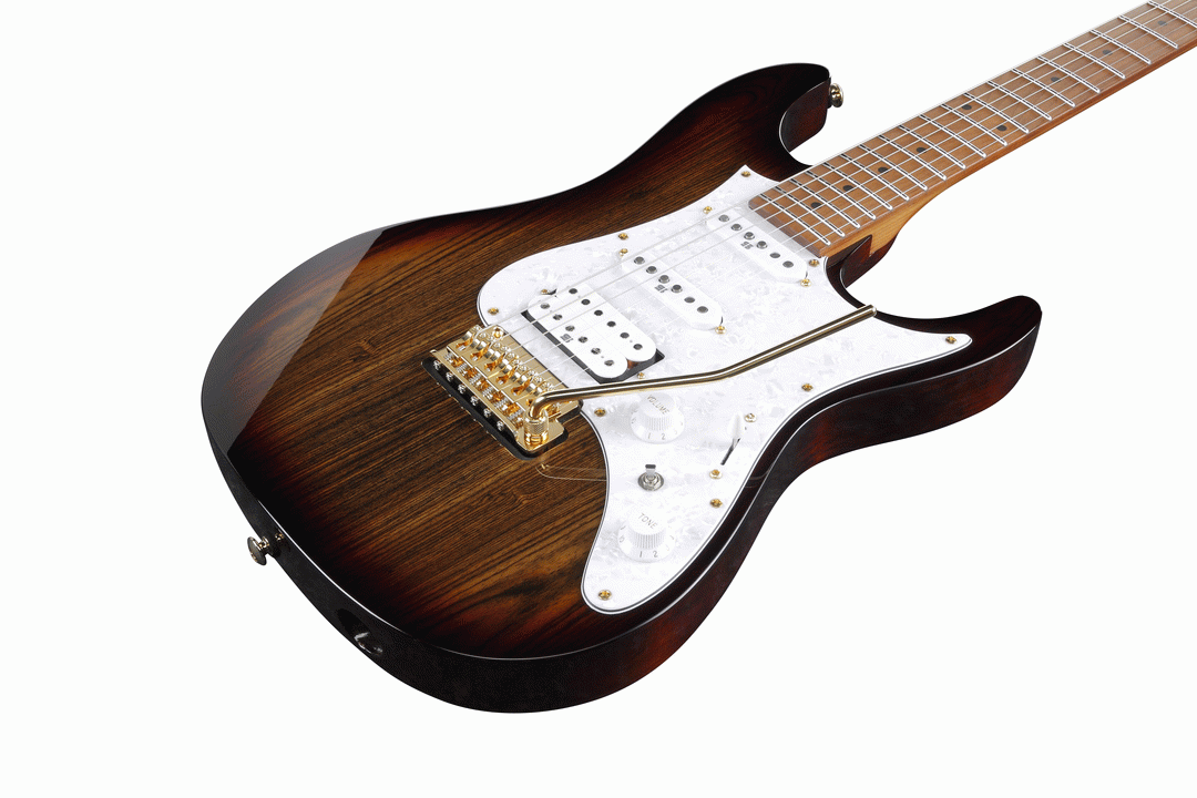 Ibanez AZ224BCG DET Premium Electric Guitar W/Bag (Deep Espresso Burst) — view 4