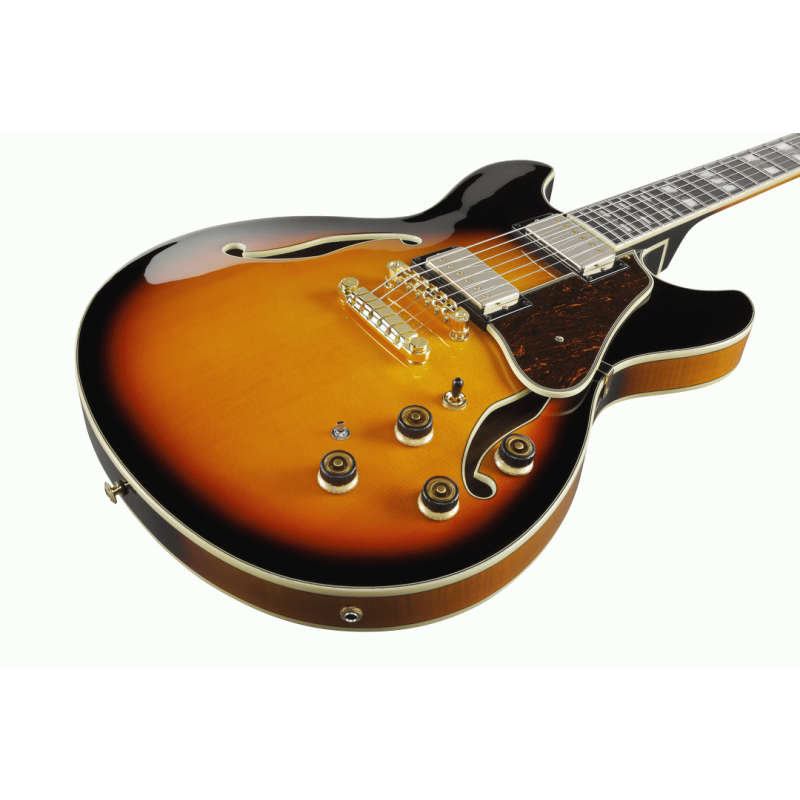 Ibanez AS113BS Semi-Acoustic Guitar — view 6