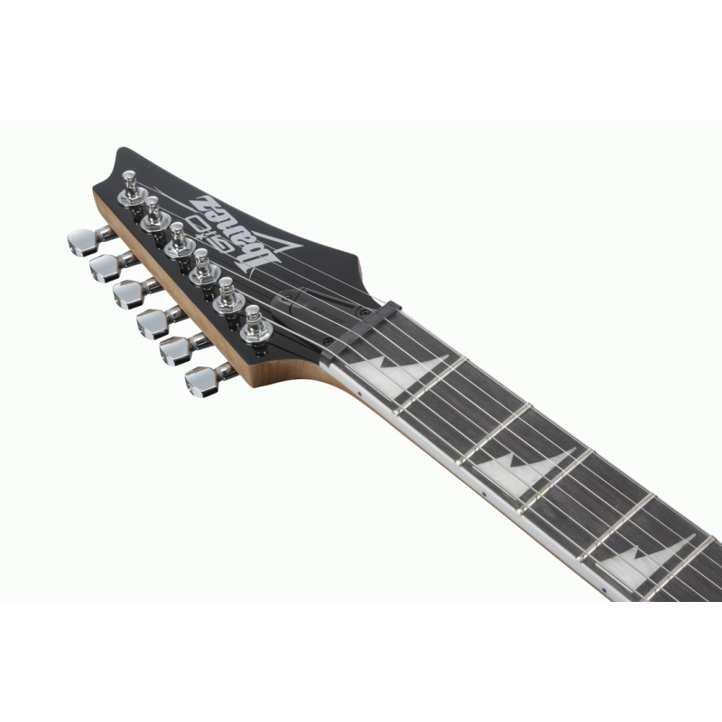 Ibanez RG220PA1 BKB Electric Guitar — view 5