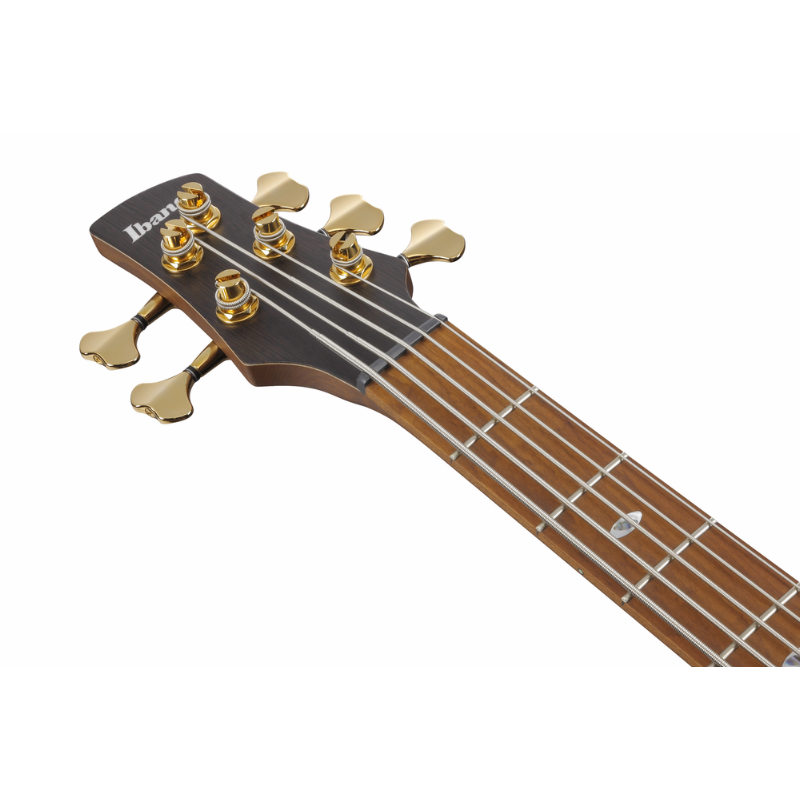 Ibanez SR4505 DST Electric Bass 5 String — view 4