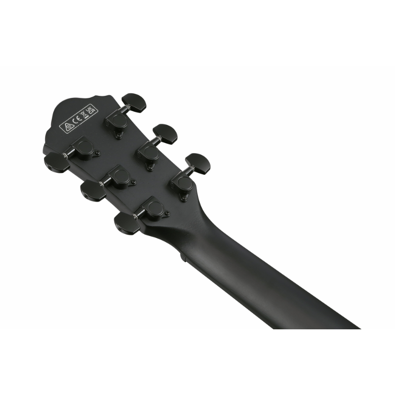 Ibanez AEWC621 BOT Acoustic Guitar — view 5