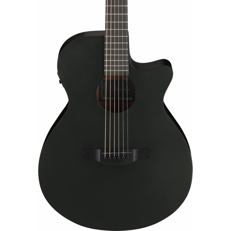 Ibanez AEG621 BOT Acoustic Guitar with Pickup — view 6
