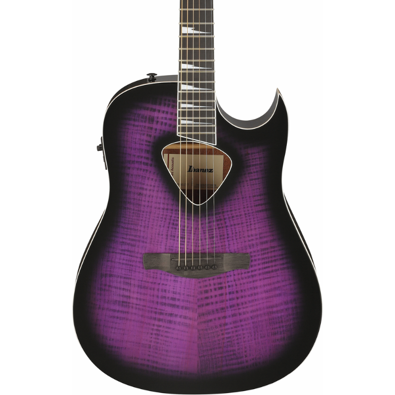 Ibanez Altstar ALT50FA TVT Acoustic Guitar — view 6