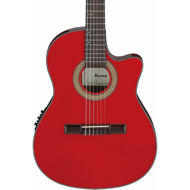 Ibanez GA35TCE SRR Nylon String Guitar — view 6
