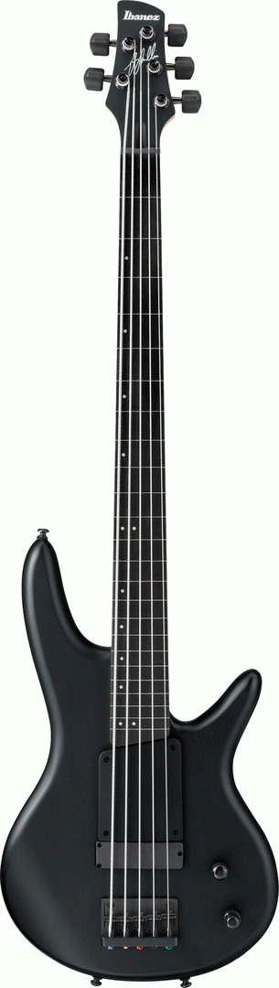 Ibanez GWB35 BKF Gary Willis Electric 5-String Bass (Black Flat)