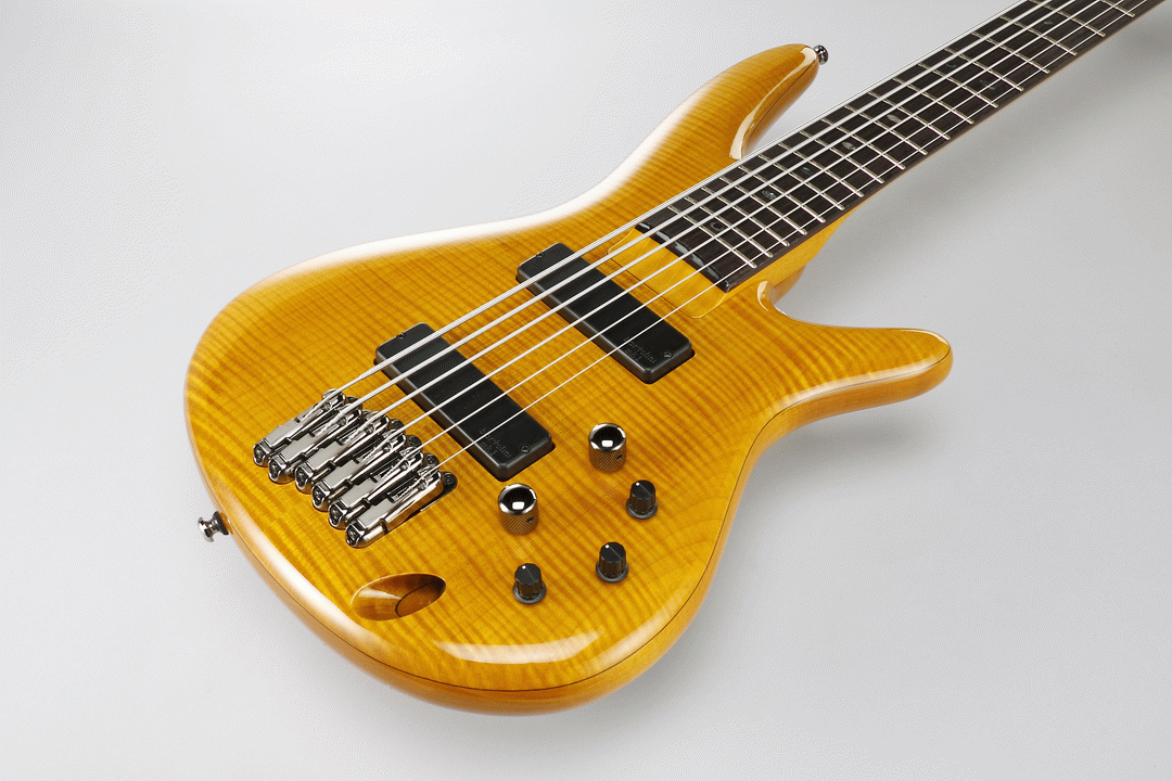 Ibanez GVB36 AM Gerald Veasley Electric 6-String Bass (Amber) — view 4