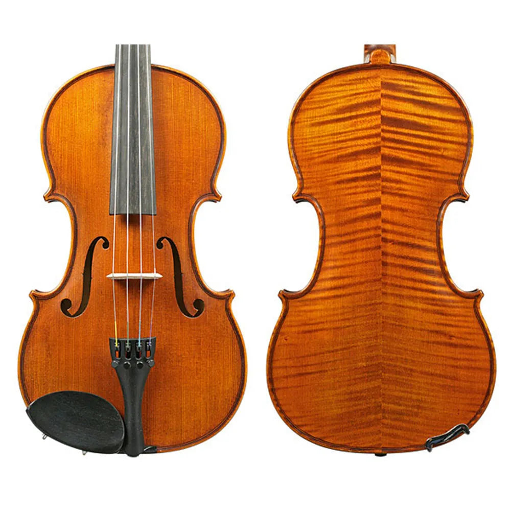 Gliga Vasile Professional Violin 5 Colour 4/4 with Solid Spruce Top and Maple Back