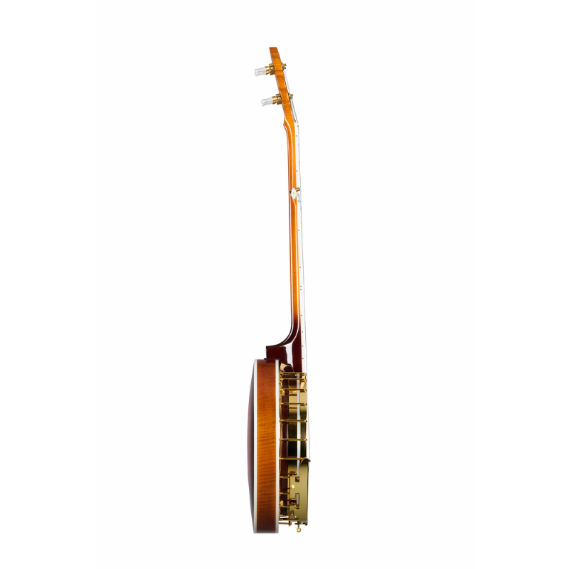 Epiphone Earl Scruggs Golden Deluxe Banjo with Case — view 4