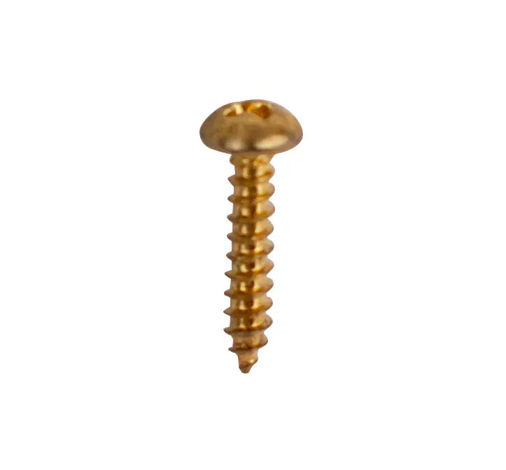 6x AMS Machine Head Screws Gold