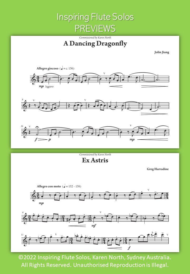 Inspiring Flute Solos by Karen North - Flute Solo Collection, 30 Works, 68 Pages, Allegro Publishing, The Young Flute Player Series — view 6