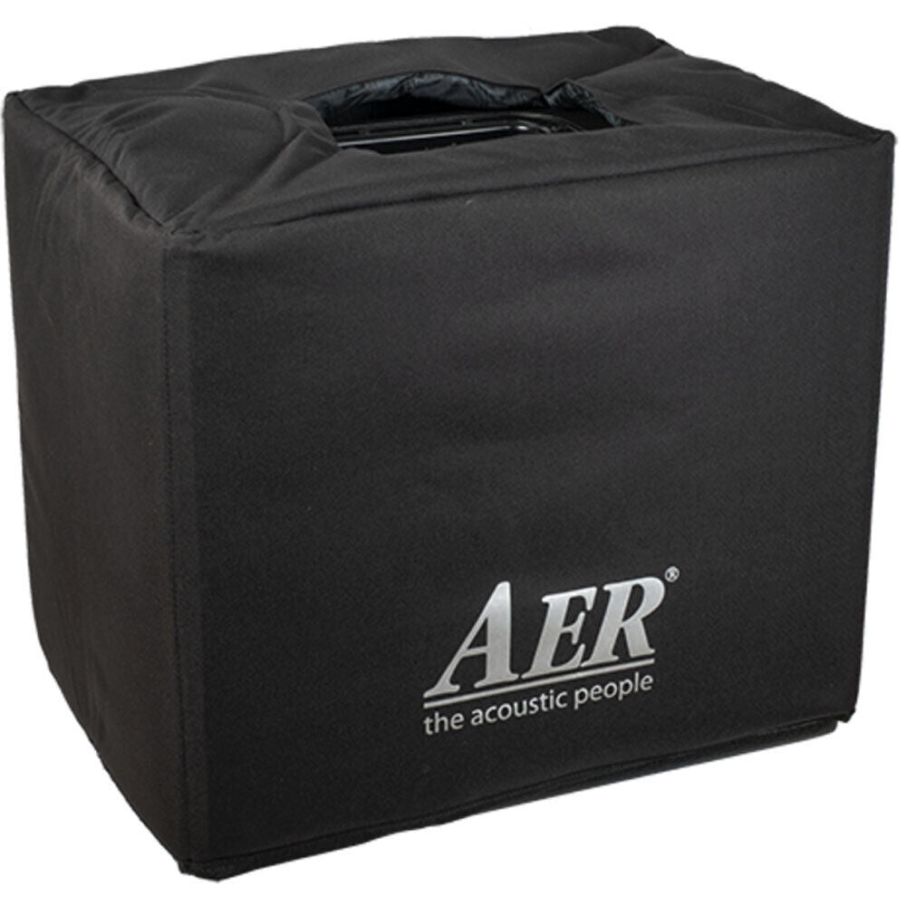 AER Domino 3 Acoustic Instrument Amplifier 2 x 100 Watt with Effects and Equalizer — view 4