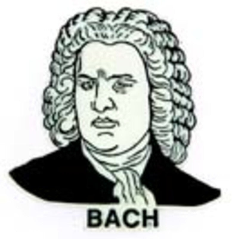 Magnet Bach