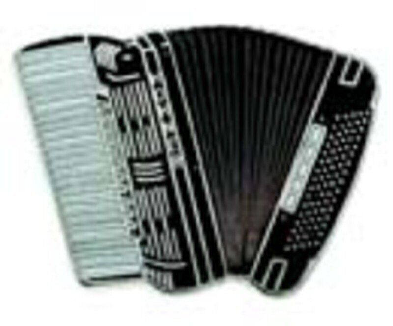 Mini Pin Accordion - Black