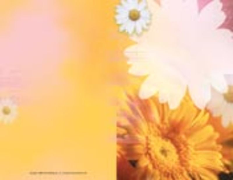 Recital Program Blanks Spring Theme Pack Of 25