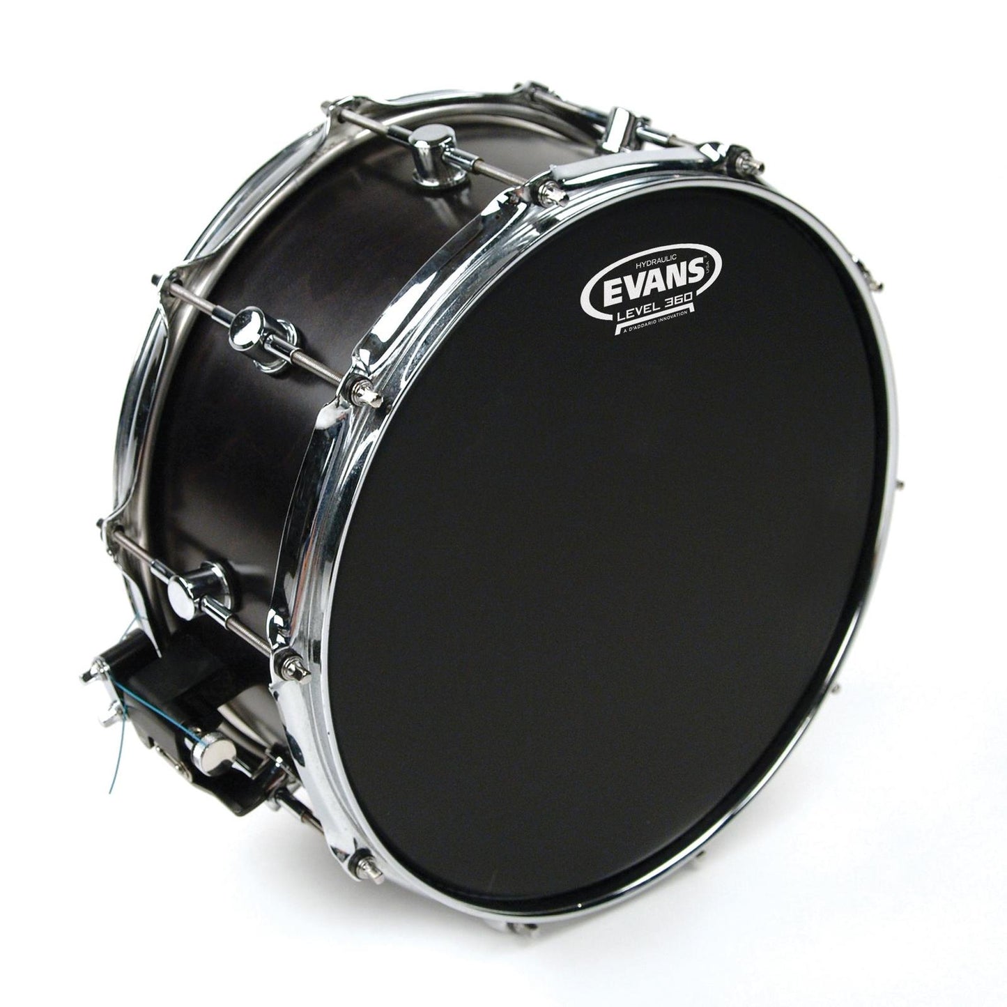 Evans Hydraulic Black Drum Head, 14 Inch *SKIN ONLY*