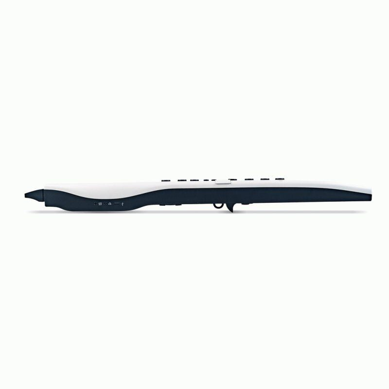 Carry-On Digital Wind Instrument 2 Pro with LCD Screen and 65 Voices — view 2
