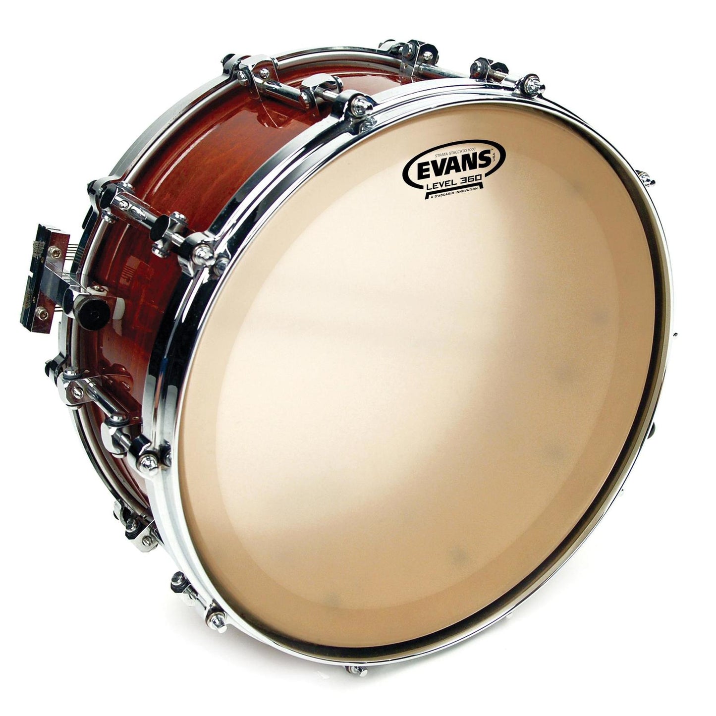Evans Strata Staccato 1000 Concert Snare Drum Head, 14 Inch *SKIN ONLY*