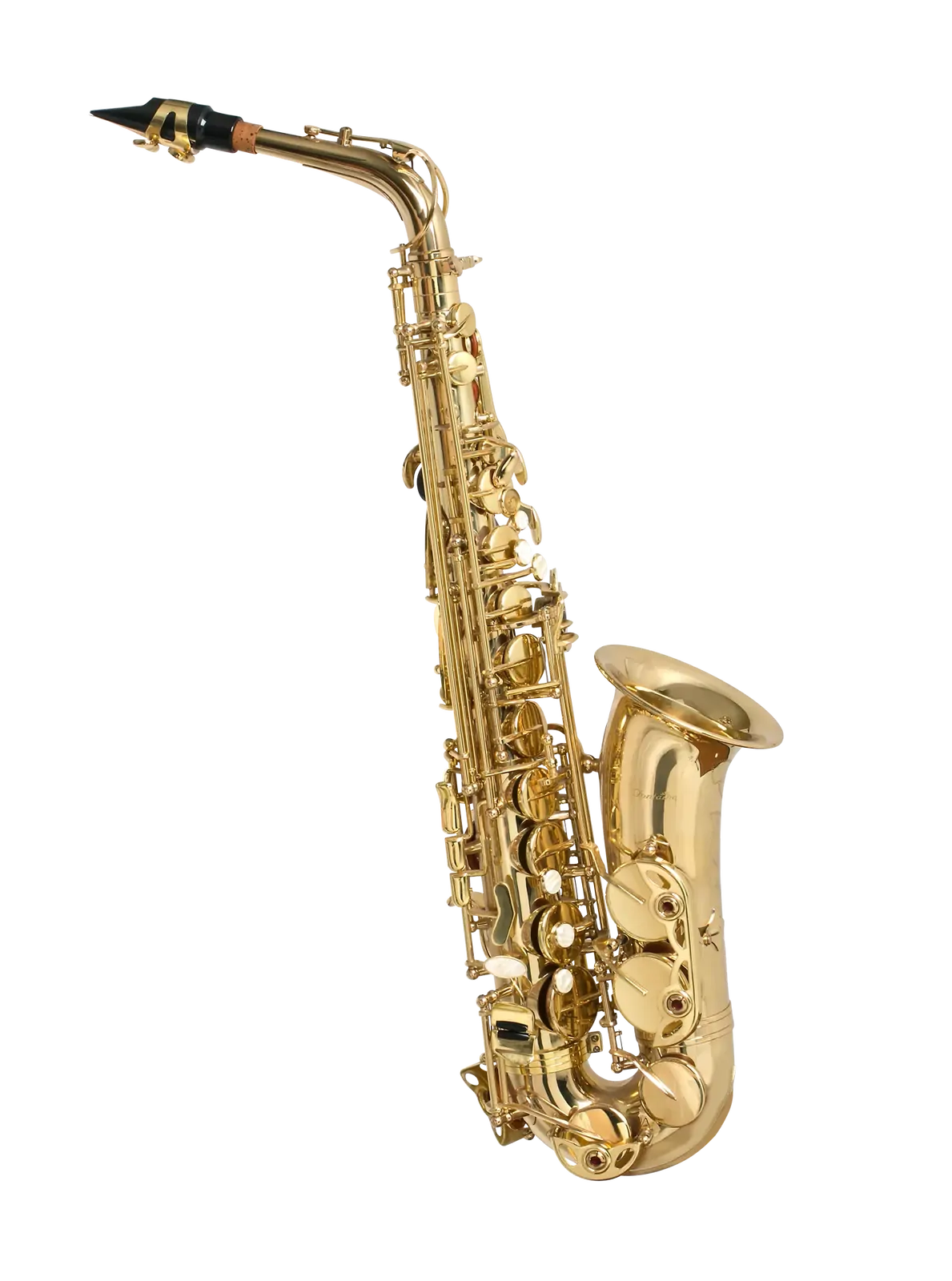 Fontaine FBW309 E Flat Alto Saxophone with Case