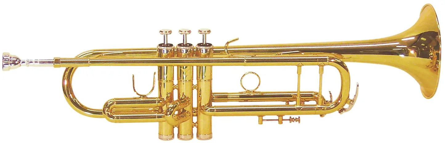 FBW483