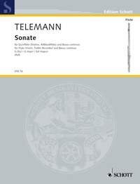 Telemann - Sonata G Major from "Essercizii Musici" for Flute/Bass Continuo