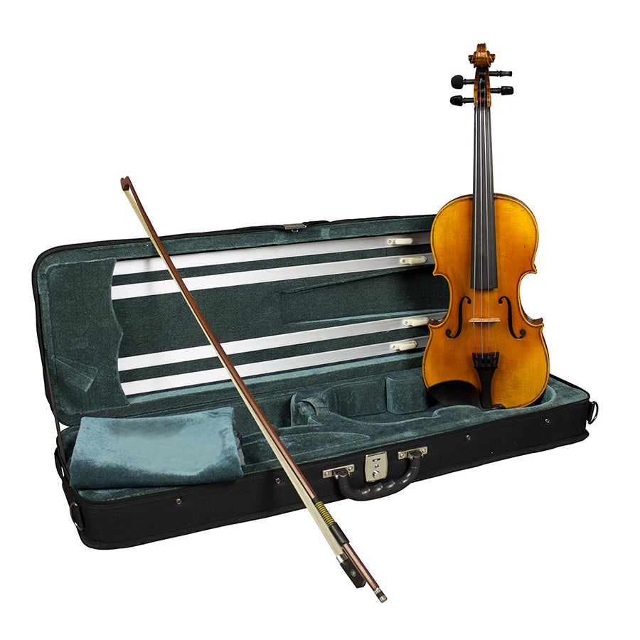 Hidersine Reserve WV400 4/4 Violin Outfit with Premium Setup and Lightweight Poly-Foam Case — view 2