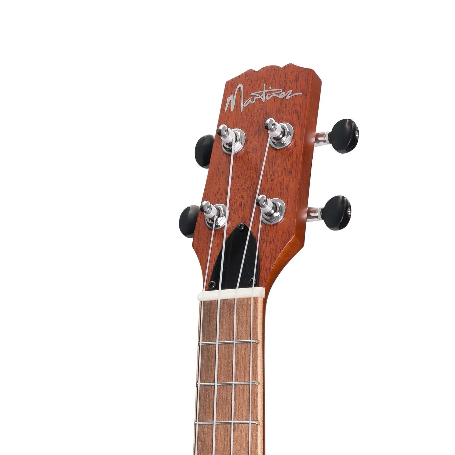 MSBC-6C-NSTJD