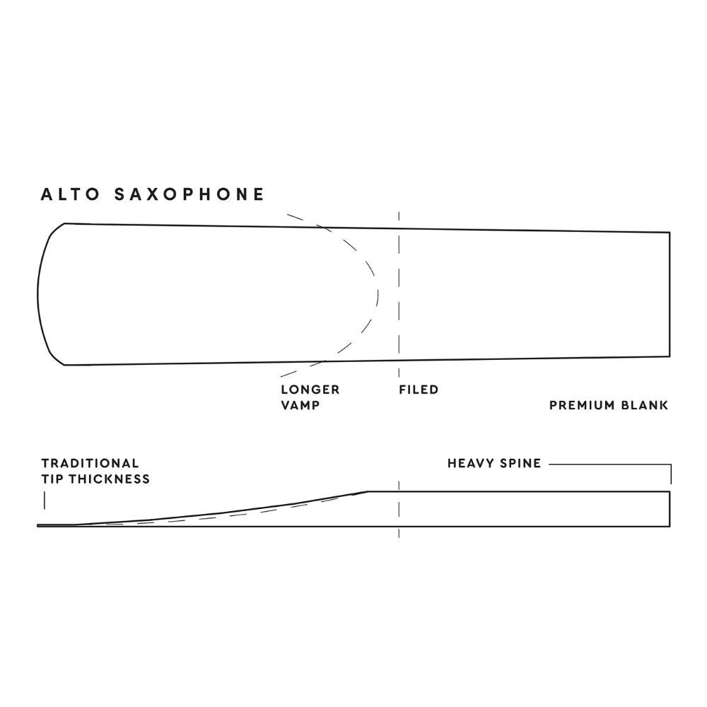 DAddario Organic Reserve Alto Saxophone Reed 2.5 Q/P10 — view 3