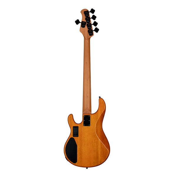 Sterling by Music Man SBMM StingRay 5 HH RAY35HH Poplar Burl, Amber Bass — view 3