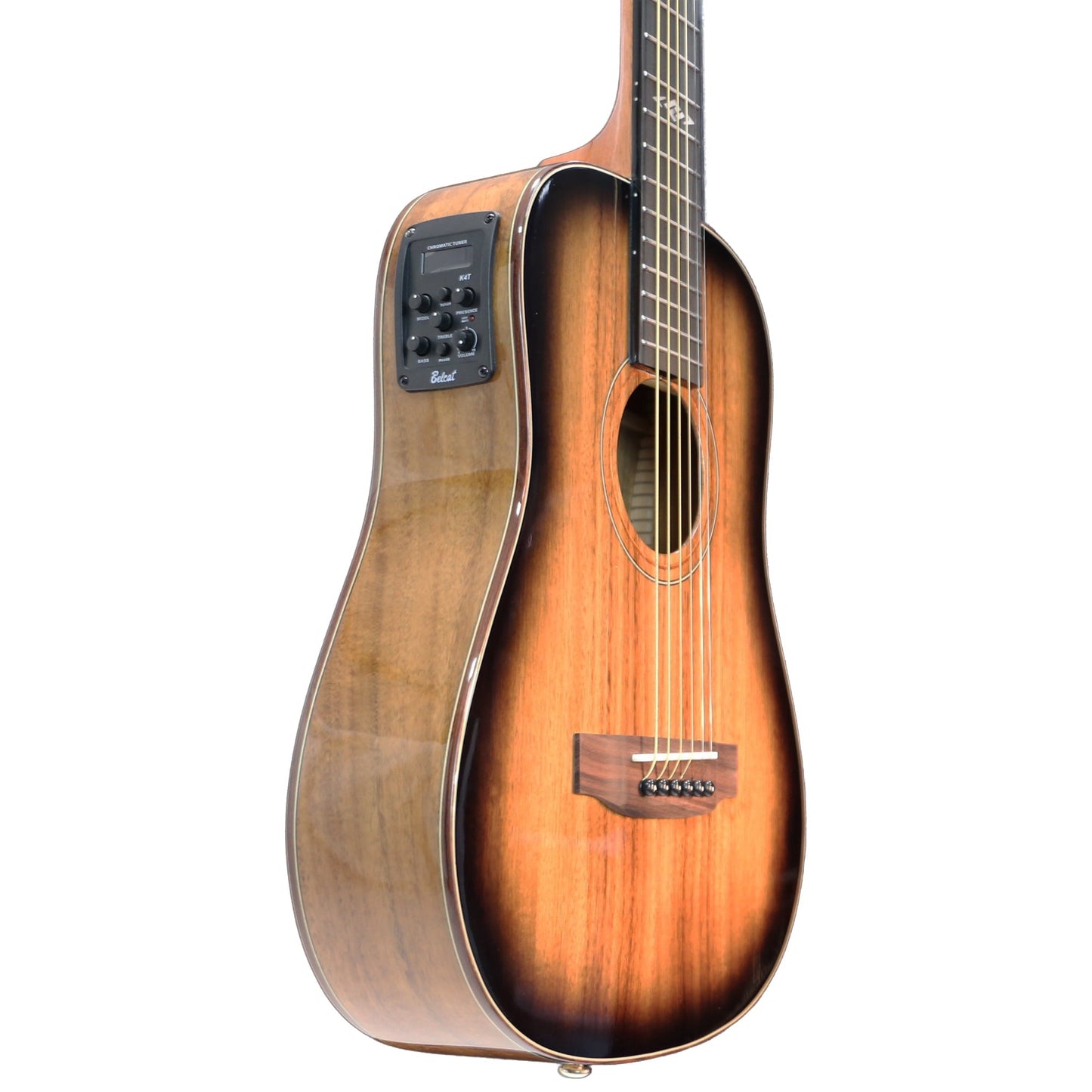 Ranch Series 49 Babe Traveller Acoustic-Electric Guitar Blackburst Gloss Left Handed — view 3