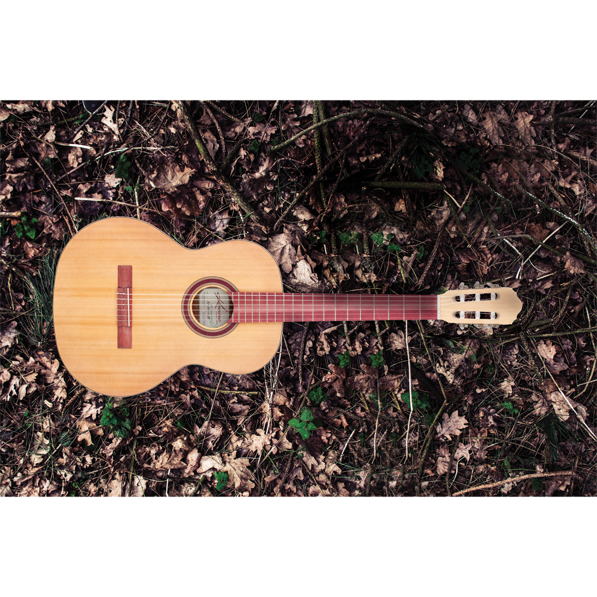 Kremona S65CGG Sofia Green Globe Classical Guitar with Premium Case — view 5