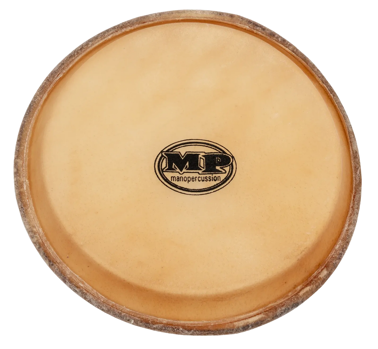 Mano Percussion 11 Inch Tambora Batter Head 10 1/2 Crown Buffalo