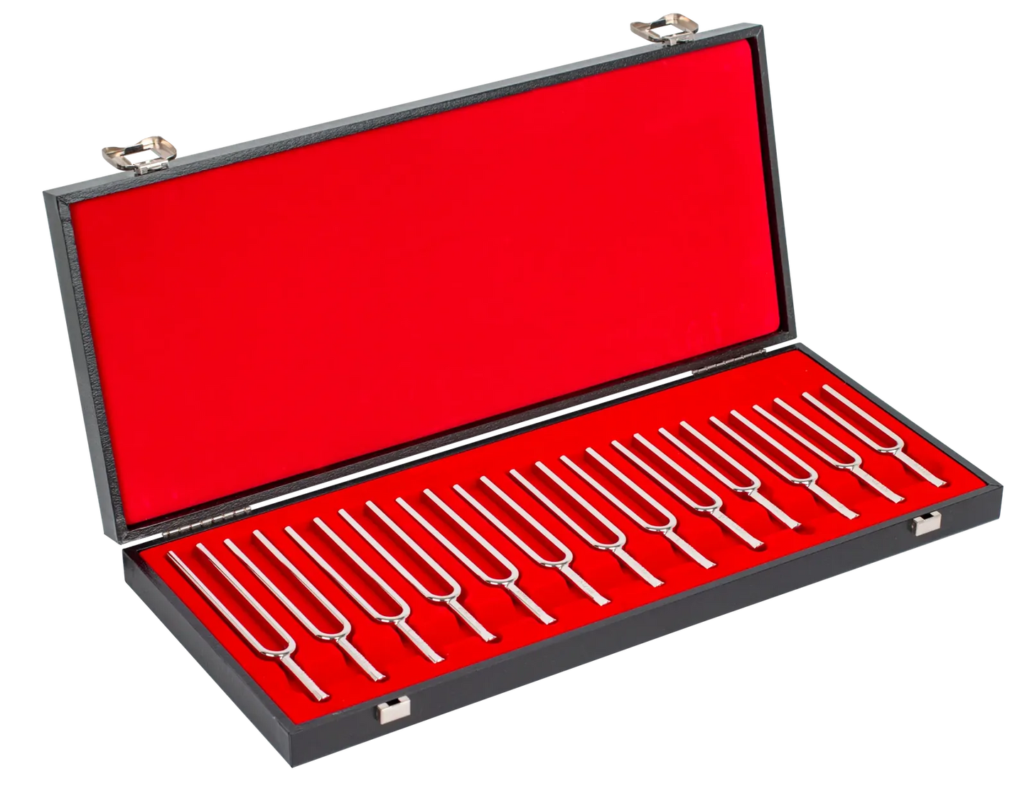 Wittner TF13 Tuning Fork Set C-C Chromatic with Wooden Case — view 2