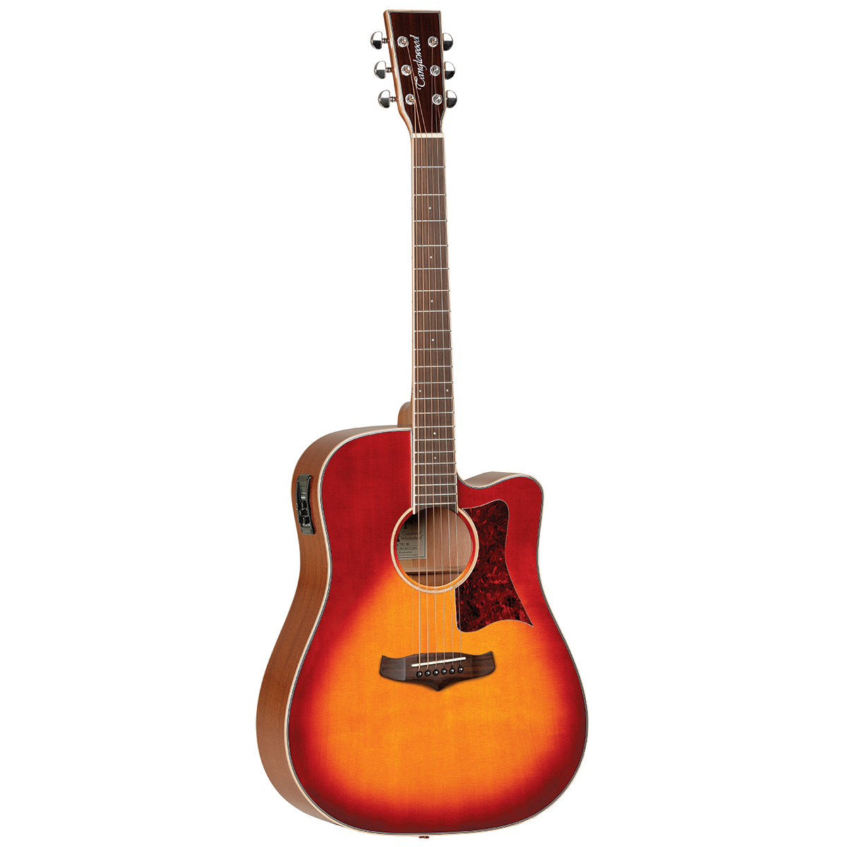 Tanglewood TW5SB Winterleaf Dreadnought Cutaway Acoustic Electric Sunburst — view 5
