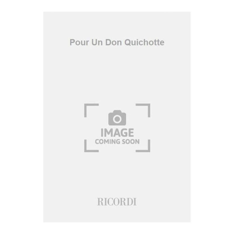 Pour Un Don Quichotte Book
