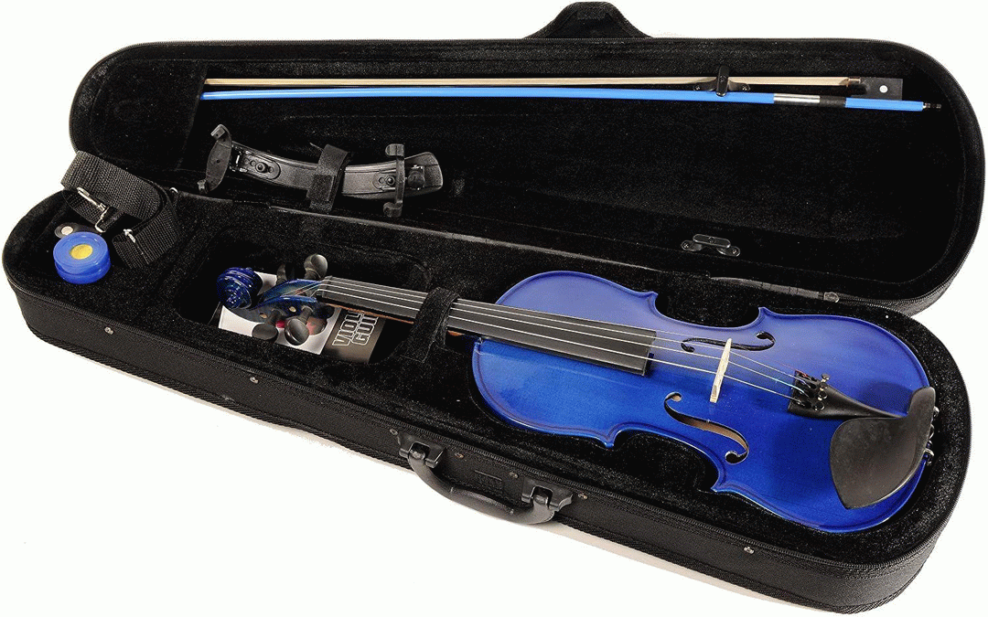 Ashton Av342Bbs Violin