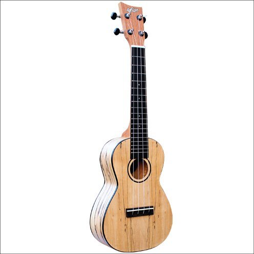 Ashton Concert Ukulele Spalted Maple Uke500Spm — view 2