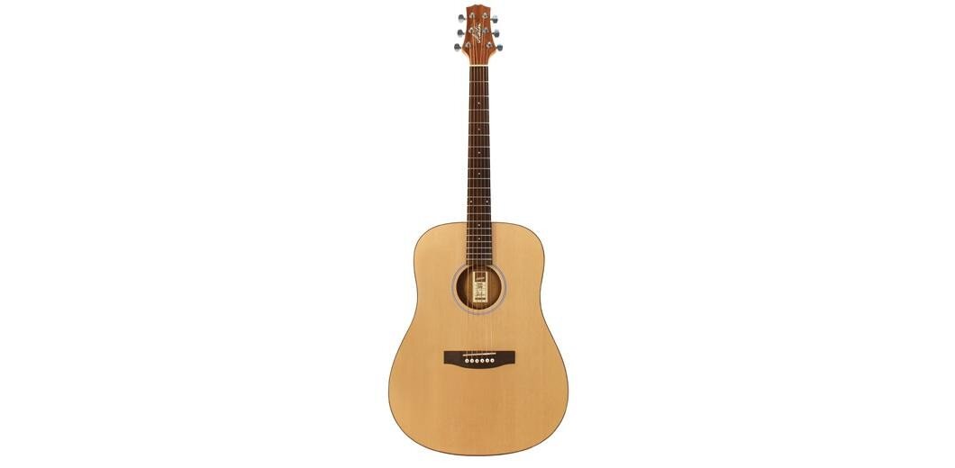 Ashton D20SNTM Solid Top Acoustic Guitar